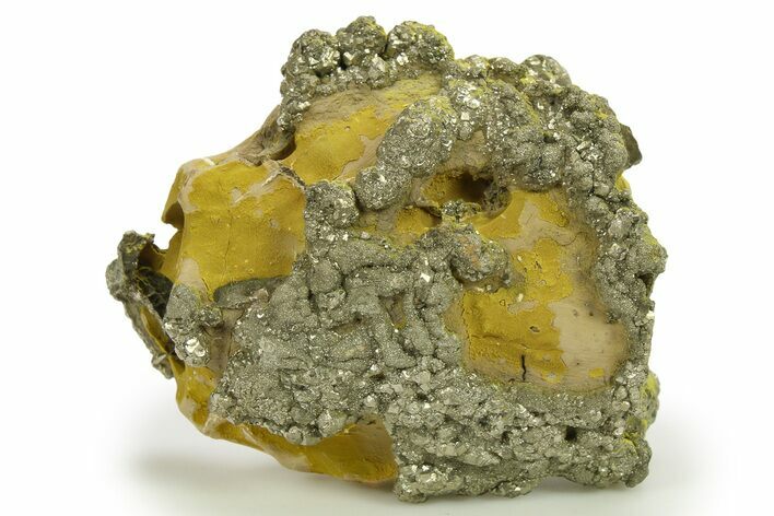 Golden Pyrite on Limonite Clay - Pakistan #283727